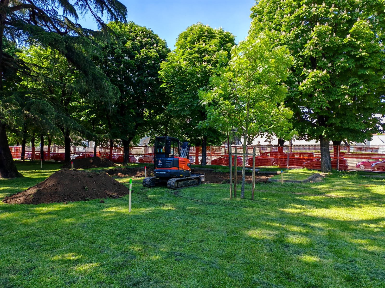 Lavorazioni nel verde di un parco pubblico a Novara